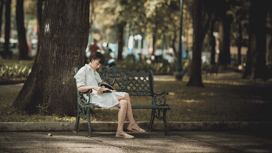 Woman reading a book on a park bench under tall trees on a quiet afternoon